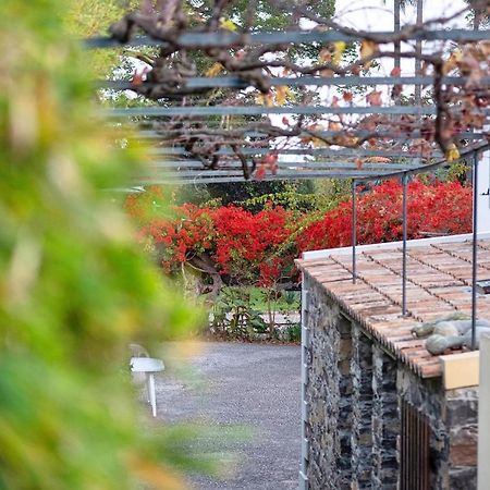 Apartamento Ourmadeira - Loja Da Lenha, Charming Funchal  Exterior foto