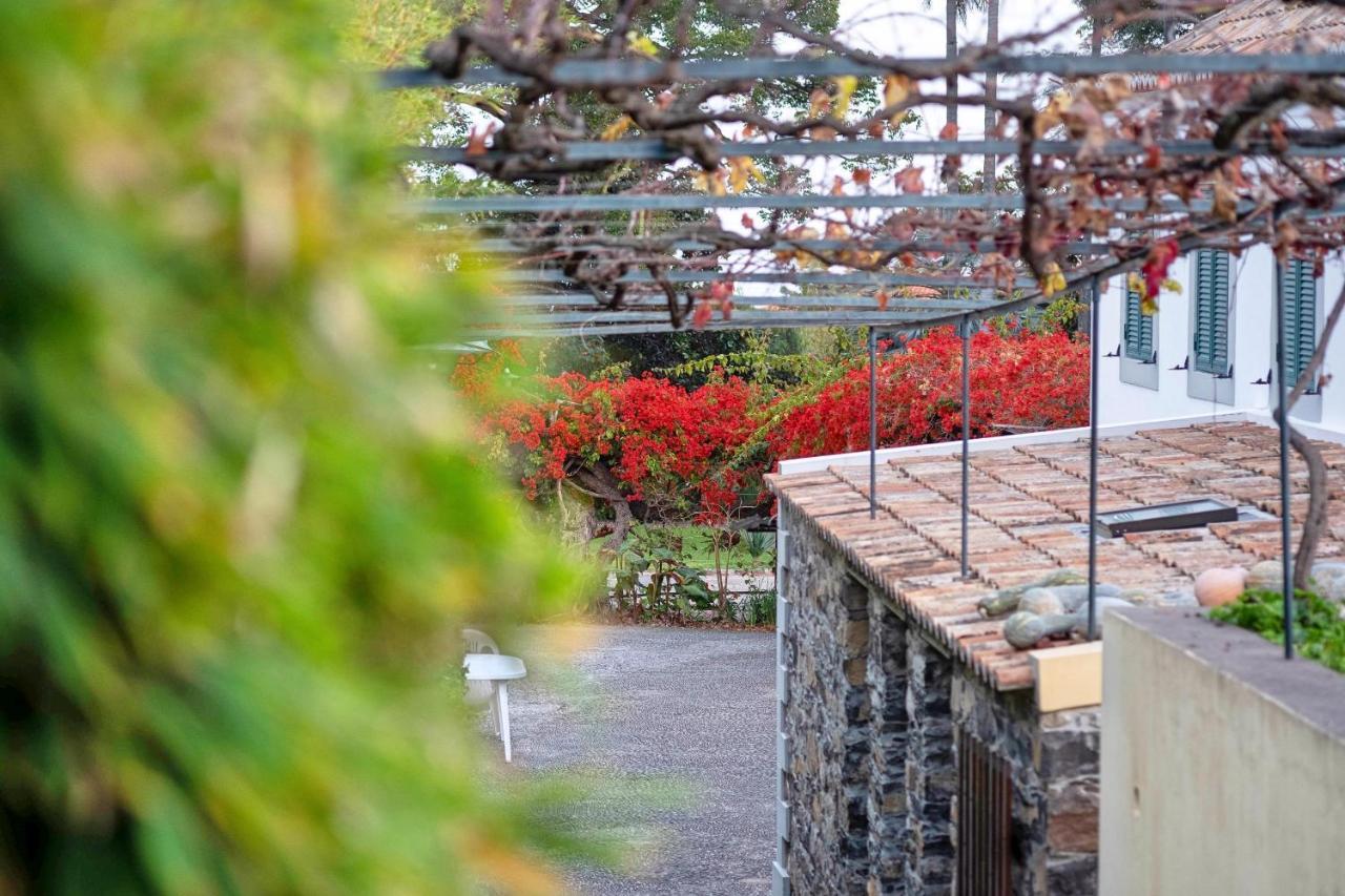 Apartamento Ourmadeira - Loja Da Lenha, Charming Funchal  Exterior foto
