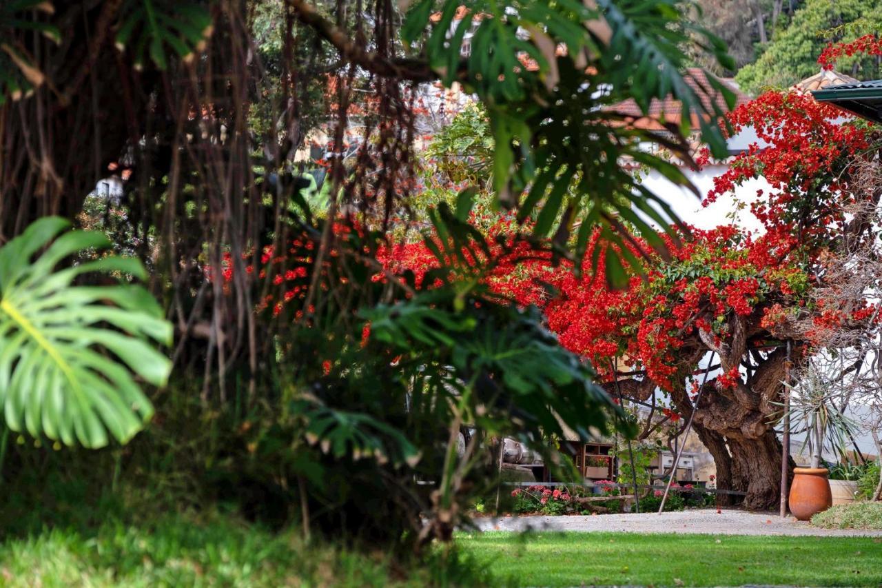 Apartamento Ourmadeira - Loja Da Lenha, Charming Funchal  Exterior foto