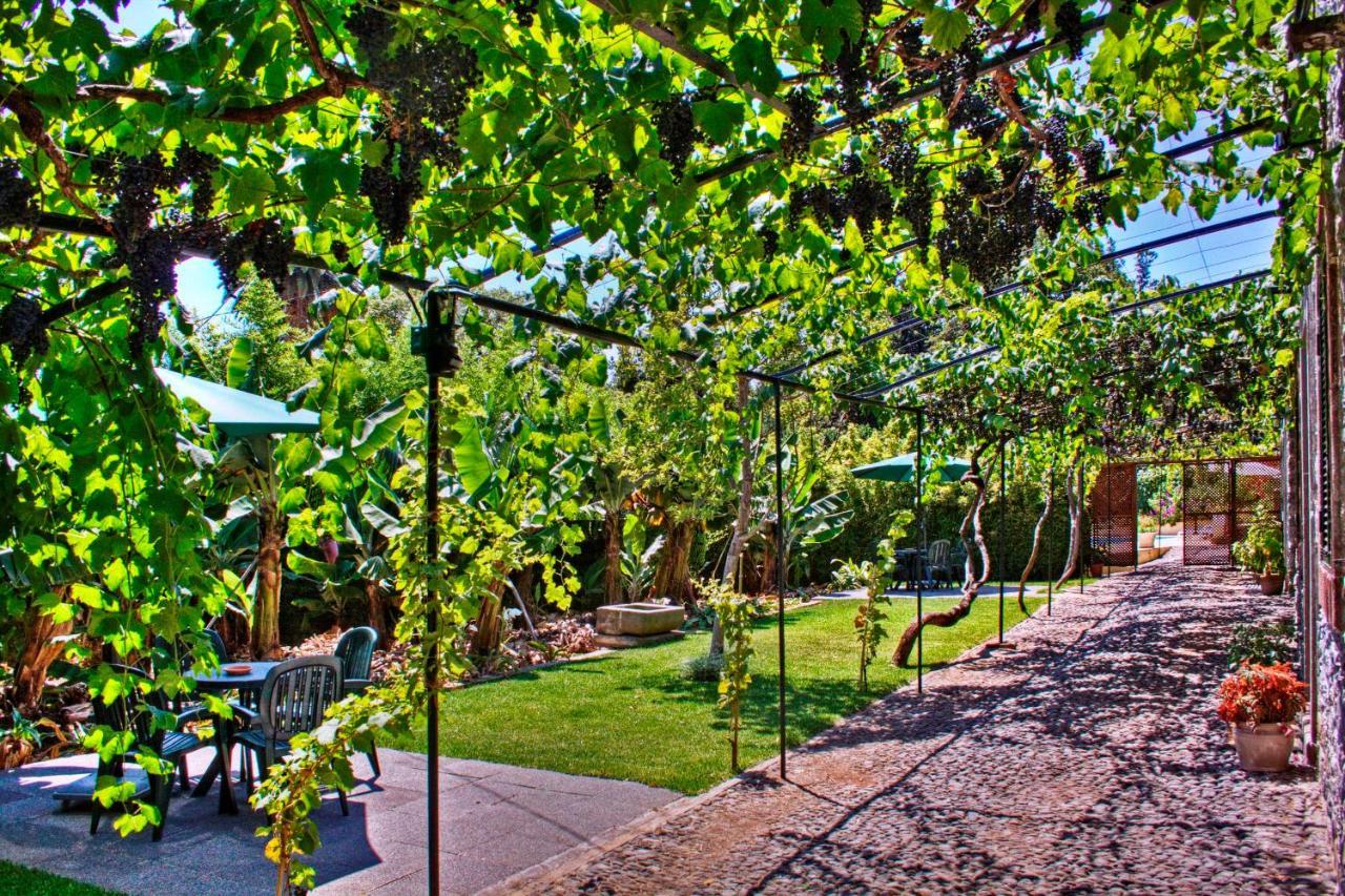 Apartamento Ourmadeira - Loja Da Lenha, Charming Funchal  Exterior foto