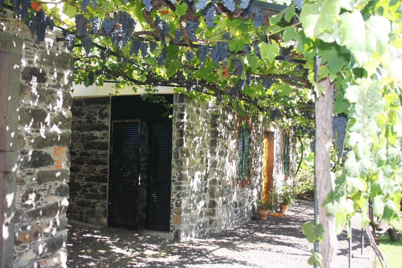 Apartamento Ourmadeira - Loja Da Lenha, Charming Funchal  Exterior foto